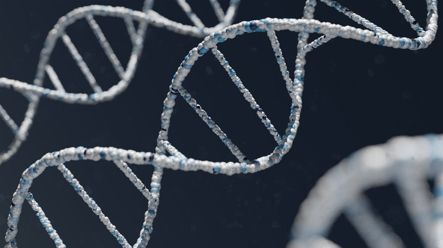 Epigenetische Veränderungen und langfristige Gesundheitsfolgen: Darm-Mikrobiom als Schlüsselakteur - myBioma
