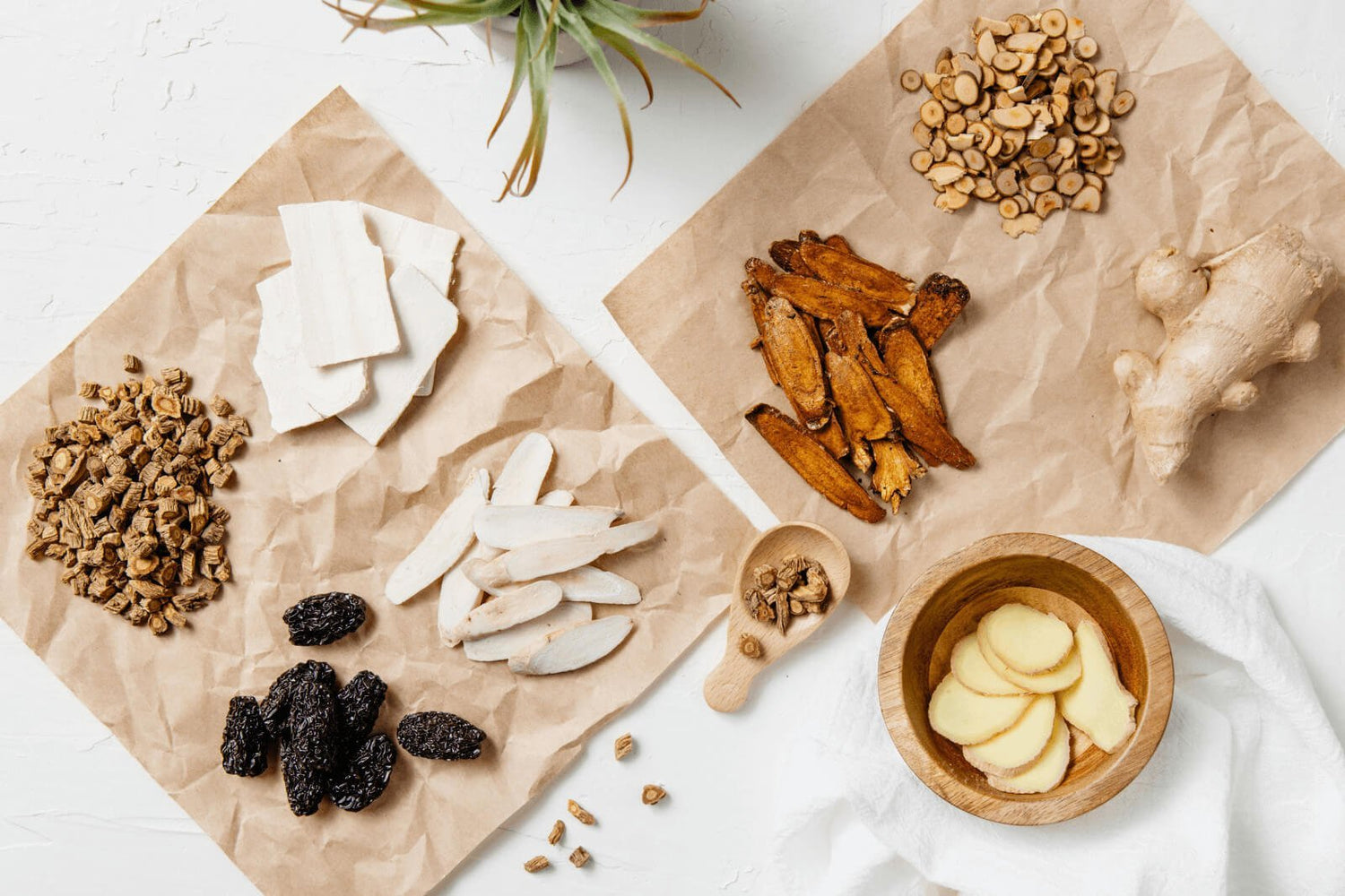Vegane Ernährung in der TCM – Erfahrungsbericht von Ernährungswissenschaftlerin Cornelia Führer - myBioma