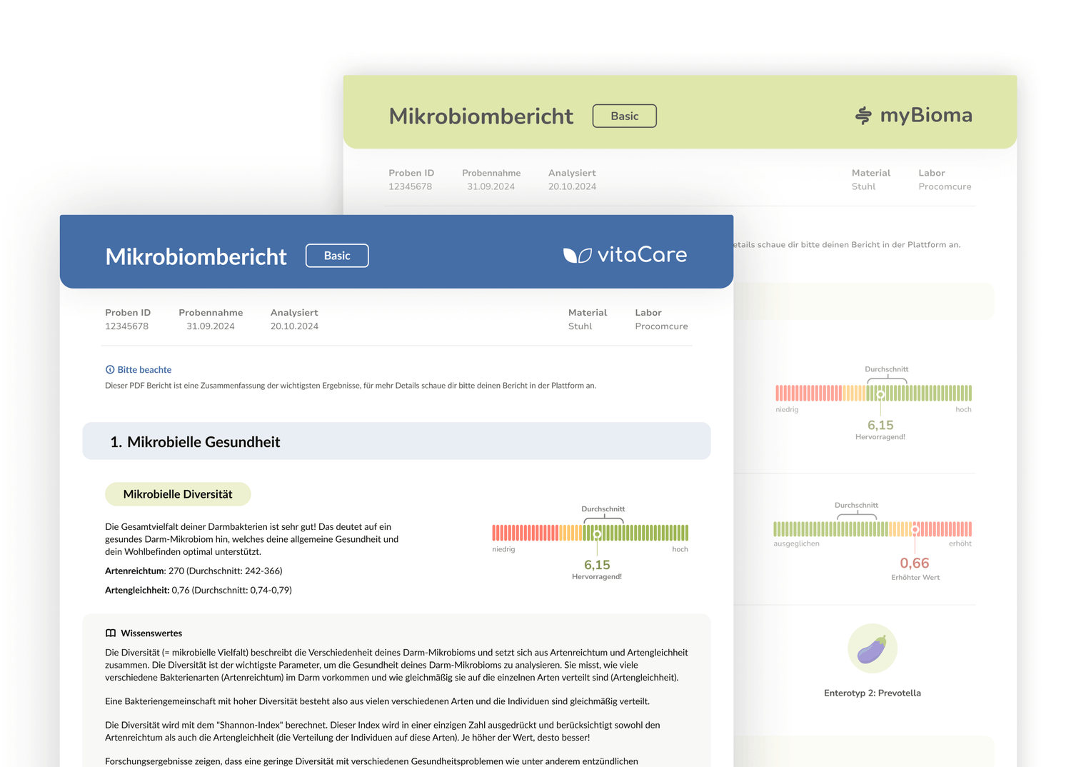 Ausschnitt aus dem Mikrobiombericht Basic. Zu sehen sind onformationen zur Mikrobiellen Diversität und dem Enterotypen.
