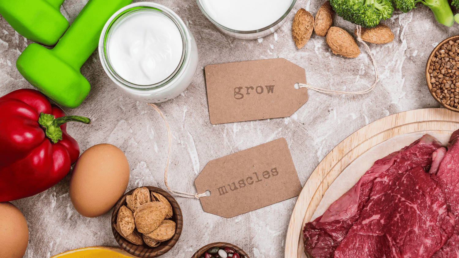High Protein und Darmgesundheit - Proteinbedarf, pflanzliche vs. tierische Proteine, Mikrobiom Auswirkungen, Darmflora unterstützen mit Ballaststoffen