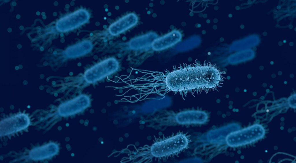 Das Mikrobiom: 10 Mythen aufgedeckt - myBioma