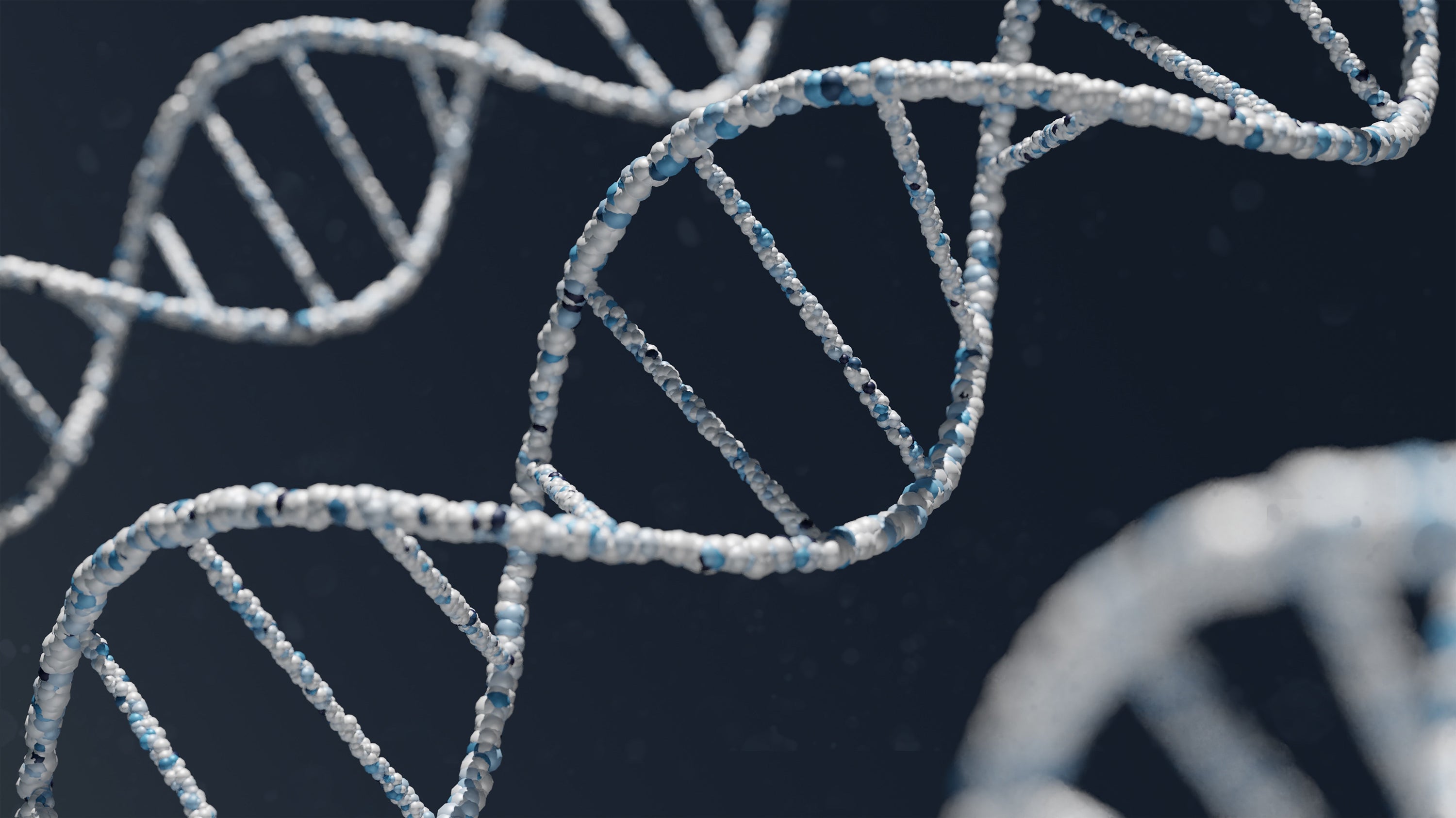 Epigenetische Veränderungen und langfristige Gesundheitsfolgen: Darm-Mikrobiom als Schlüsselakteur - myBioma