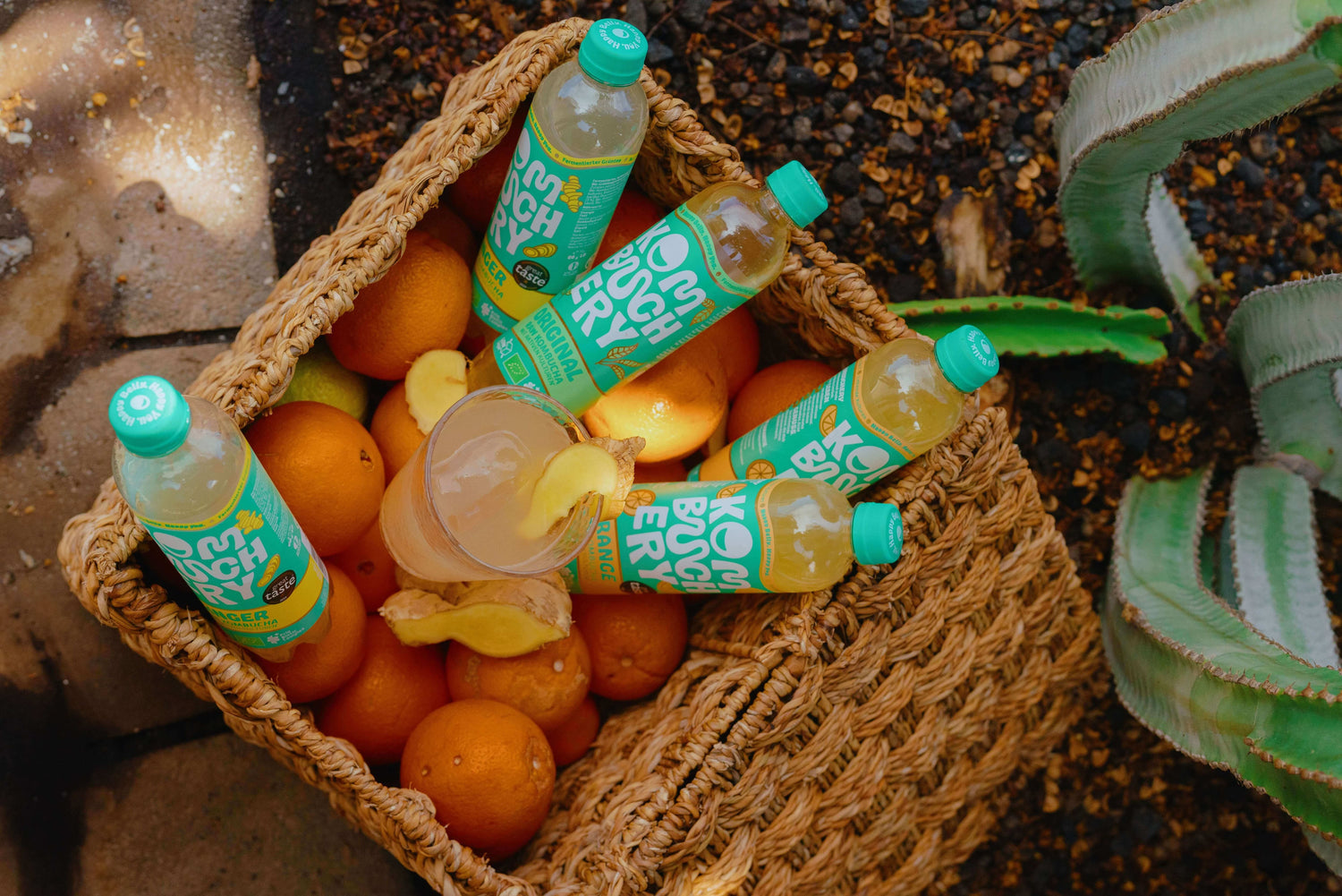 So gesund ist Kombucha für dein Mikrobiom - myBioma