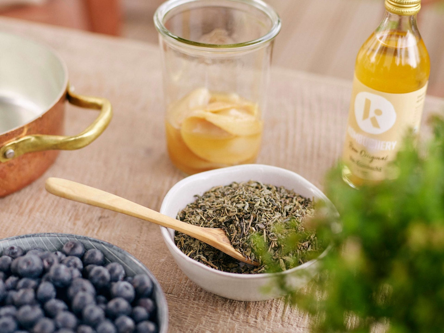 So gesund ist Kombucha für dein Mikrobiom - myBioma