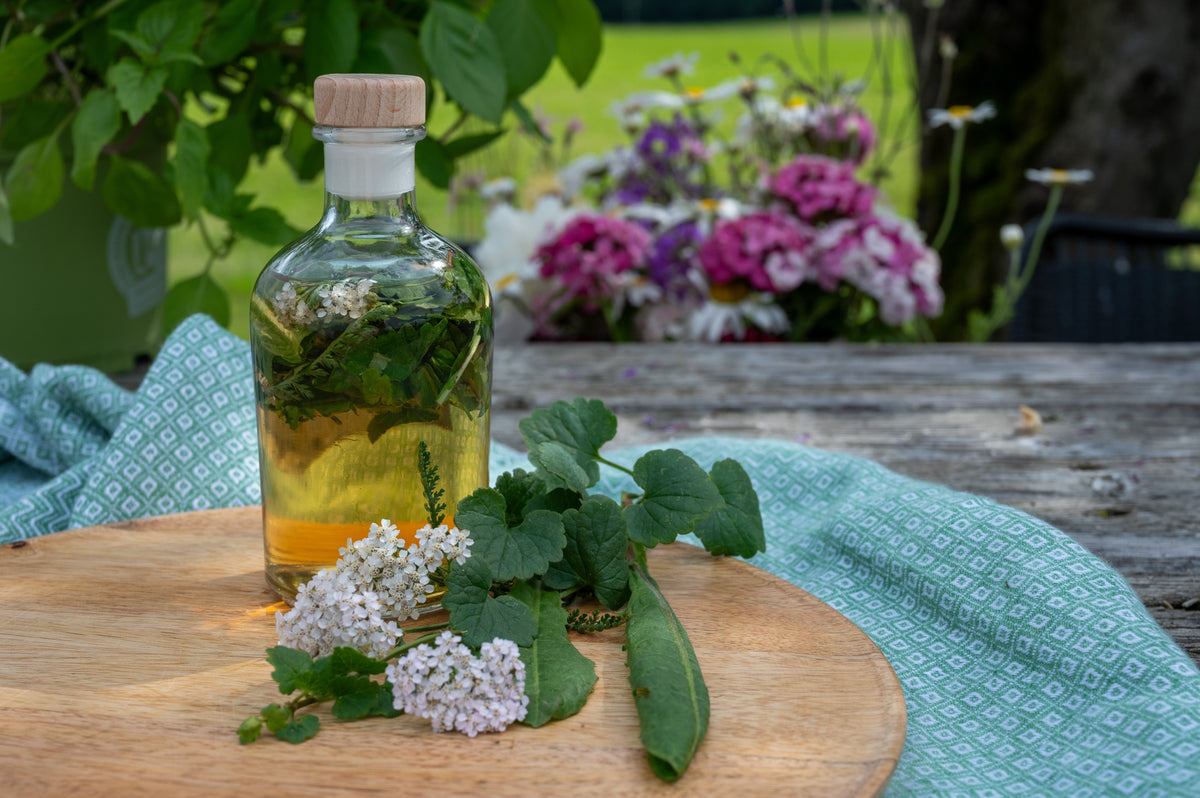 Wildkräuter Rezept: Bittertrunk für einen gesunden Darm - myBioma