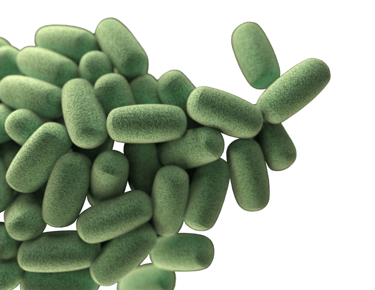 Die MikrobiomAnalyse myBioma