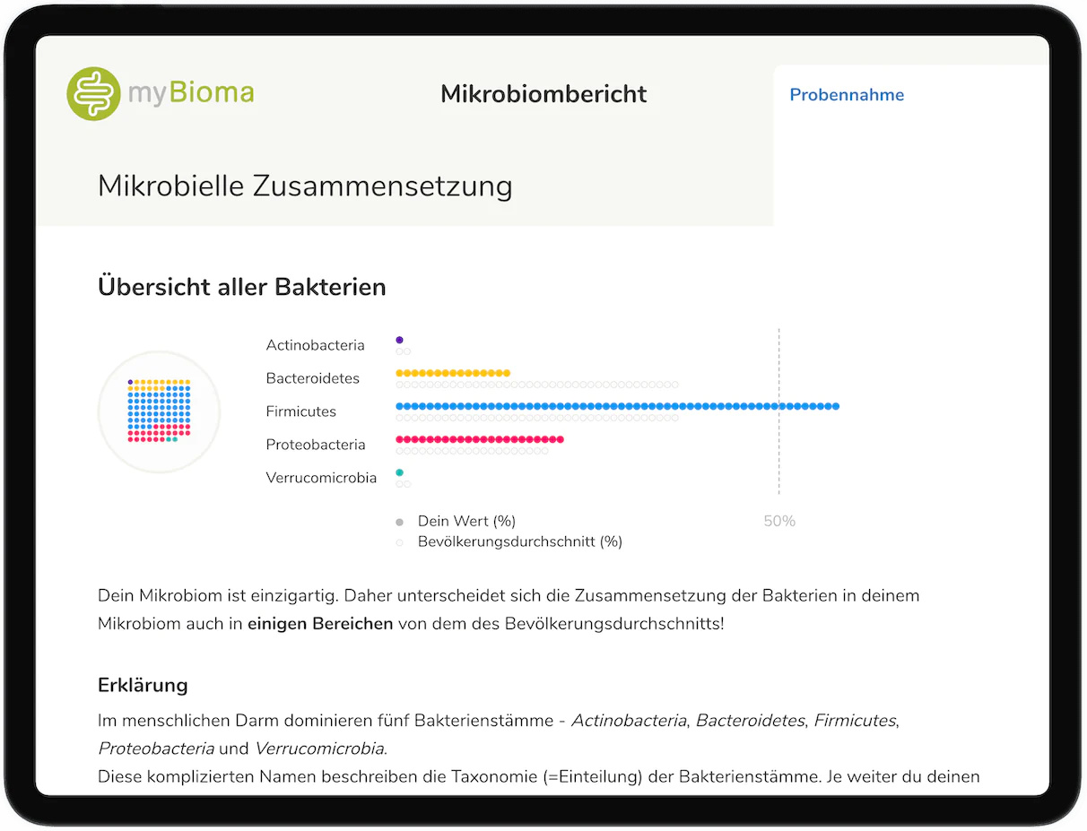 Tablet Bericht